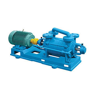 2SK系列水環(huán)式真空泵